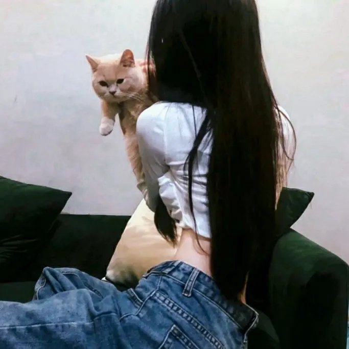 屋顶上的小飞人